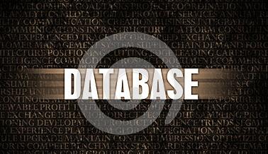 What does Database Operation and Maintenance Do
