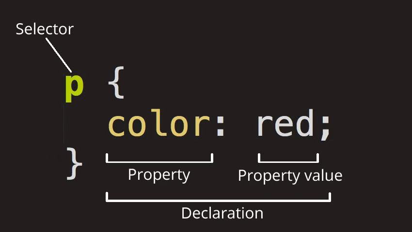 The Role and Function of CSS