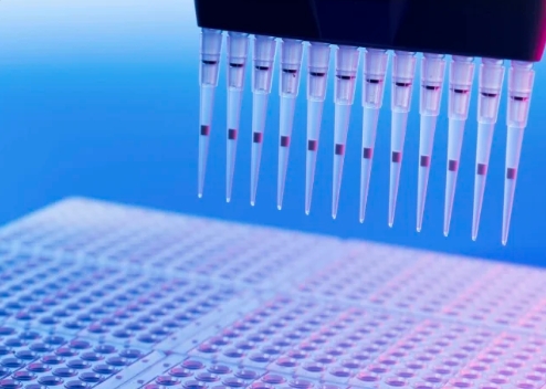 What Are Physicochemical Properties and How Do They Shape Molecular Interactions?