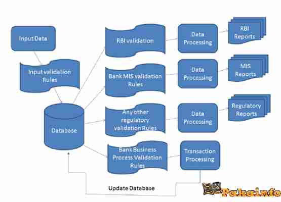 Database Management System